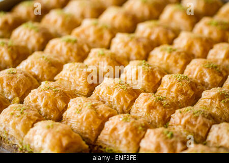 Dolce turco baklava, anche ben noto in medio oriente. Foto Stock