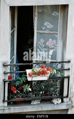 AJAXNETPHOTO. Parigi, Francia - WINDOW BOX - fiori che sbocciano su un appartamento balcone alto al di sopra di una strada della città. Foto:JONATHAN EASTLAND/AJAX REF:3571 2 23A Foto Stock