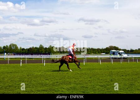 Corse di cavalli a Kempton Foto Stock