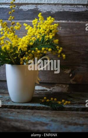 Ramoscelli di mimosa fiori nel secchio blu sul tavolo di legno Foto Stock