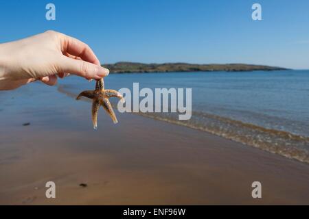 Tenere premuto tenendo una stella di mare sulla spiaggia Foto Stock