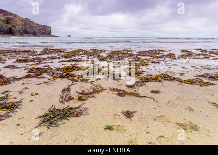 Trevauanance cove in Cornovaglia Inghilterra regno unito sulla spiaggia Foto Stock