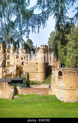 Beaufort rovine del castello nella foresta Foto Stock