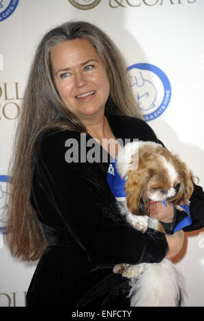 Collari & cappotti ballo di gala in aiuto del Battersea cani e gatti casa a Battersea Evolution con: Koo Stark dove: Londra, Regno Unito quando: 30 Ott 2014 Foto Stock