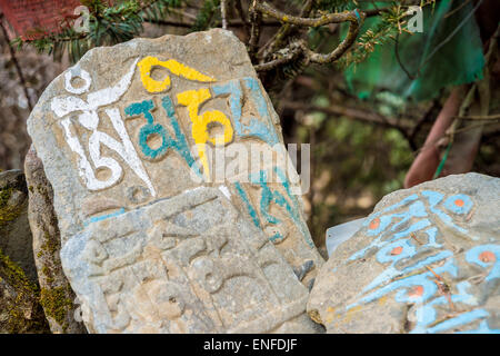 Vecchio mani pietre inscritte con un mantra buddista nella regione dell Himalaya, Nepal Foto Stock