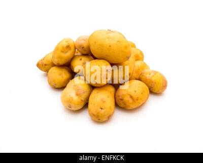 Nuovo raccolto Jersey Royal baby patate su sfondo bianco Foto Stock
