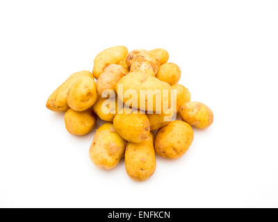 Nuovo raccolto Jersey Royal baby patate su sfondo bianco Foto Stock