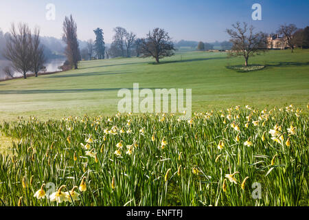 Bowood House nel Wiltshire in primavera. Foto Stock