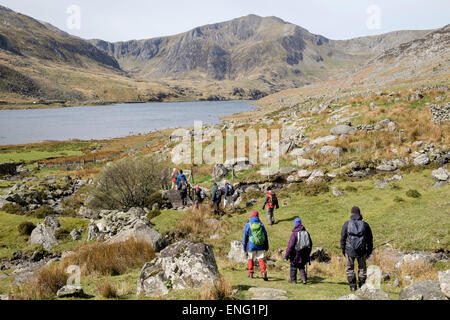 Gruppo di escursionisti a piedi su sentiero lungolago intorno Llyn Ogwen Lago nelle montagne del Parco Nazionale di Snowdonia (Eryri). North Wales UK Gran Bretagna Foto Stock