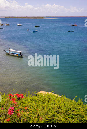 Barche in mare, Contea di Lamu, Shela, Kenya Foto Stock