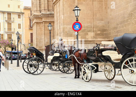 Carrozze davanti alla Cattedrale La Seu, Palma de Mallorca Foto Stock