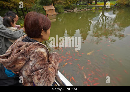 Una famiglia che alimenta la carpa koi nel Parco Guangchang, vicino Xintiandi, a Shanghai, Cina. Foto Stock