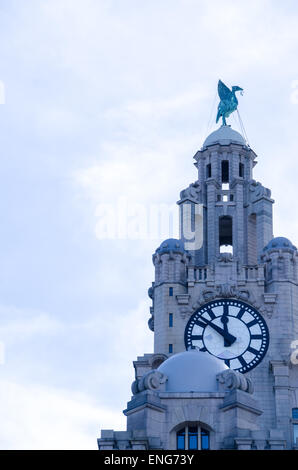 Gli uccelli di fegato, Liver Building, Liverpool Merseyside, tre grazie Foto Stock