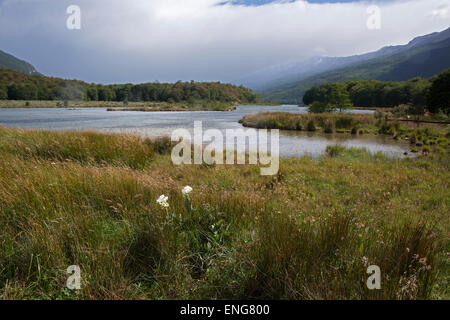 Fiume Lapataia Tierra del Fuego Parco Nazionale Argentina Foto Stock