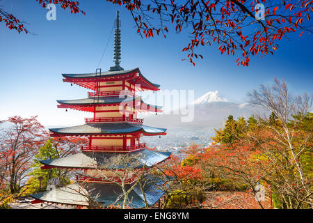 Mt. Fuji, Giappone con Chureito Pagoda. Foto Stock