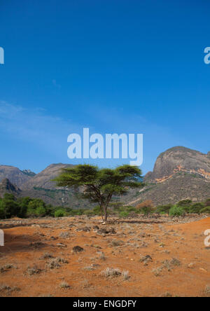 Ndoto Montagne Paesaggio, distretto di Marsabit, Ngurunit, Kenya Foto Stock