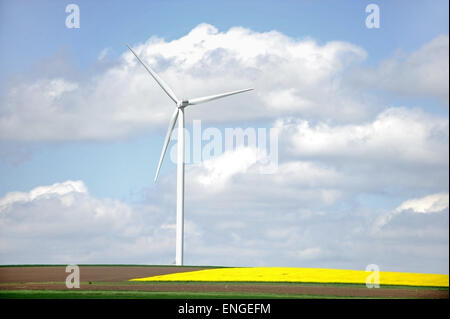 Isolate turbina a vento nei pressi di un campo di semi di ravizzone o colza di fiori in primavera Foto Stock