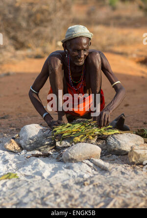 Tribù Rendille vecchio uomo foglie di tabacco in essiccazione, distretto di Marsabit, Ngurunit, Kenya Foto Stock