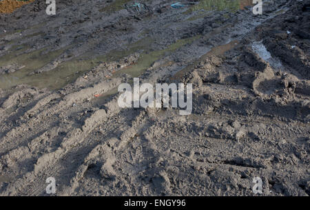 Tracce di pneumatici nel fango di argilla Foto Stock