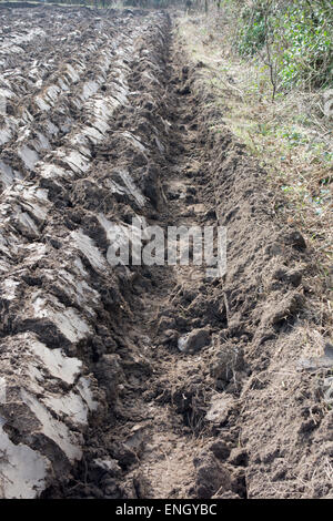 Bordo di un campo arato, argilla del suolo Foto Stock