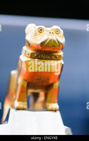 Bulldog mascotte sul cofano del motore di un Mack carrello. Foto Stock