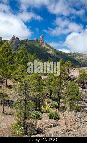 Gran Canaria, Caldera de Tejeda, Roque Nublo, Roque de San Jose e El Fraile sulla sinistra Foto Stock