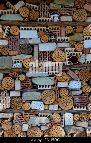 Bug Hotel - artificiale casa previsto per gli insetti e altri invertebrati. rifugio di habitat per la conservazione di aiuto di insetti Foto Stock