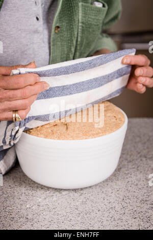 La donna che mostra che il grano germogliato l'impasto in un recipiente coperto sul bancone è aumentato fino a quando è raddoppiato di volume. Foto Stock