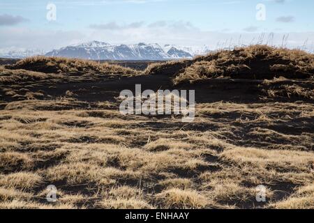 Marzo 22, 2015 - Islanda - un tipico paesaggio panoramico di sabbia nera e di erba secca, con le montagne sullo sfondo, mentre si guida la macchina lungo la strada di circonvallazione (percorso 1) durante la primavera appena a nord di Vik, Islanda (credito Immagine: © Daniel DeSlover/ZUMA filo) Foto Stock