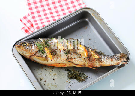 Cotta al forno ripieni di trota con limone e aneto Foto Stock