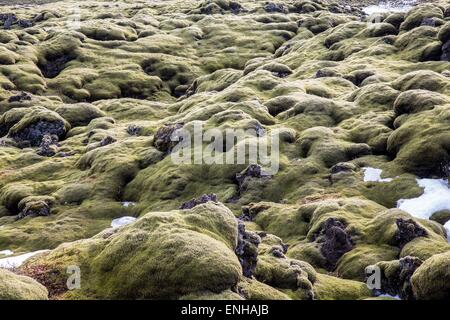 Marzo 22, 2015 - Islanda - un tipico paesaggio panoramico di rocce di muschio guidando lungo la strada di circonvallazione (percorso 1) durante la primavera tra SkaftaÌrtunguvegur e KirkjubÃ¦jarklaustur in Islanda (credito Immagine: © Daniel DeSlover/ZUMA filo) Foto Stock