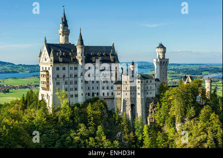 Il Castello di Neuschwanstein e al di sopra di Pöllatschlucht Gorge, il lago di Forggensee, Schwangau, Ostallgäu, Algovia, Svevia, Baviera, Germania Foto Stock