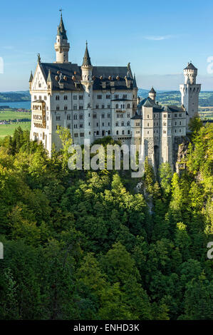 Il Castello di Neuschwanstein e al di sopra di Pöllatschlucht Gorge, il lago di Forggensee, Schwangau, Ostallgäu, Algovia, Svevia, Baviera, Germania Foto Stock