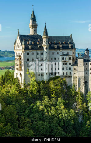 Il Castello di Neuschwanstein e al di sopra di Pöllatschlucht Gorge, il lago di Forggensee, Schwangau, Ostallgäu, Algovia, Svevia, Baviera, Germania Foto Stock