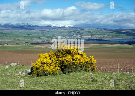 Vista verso la città delle Highland Dingwall in Scozia con Scottish mountain Ben Wyvis dietro visto dalla Black Isle Foto Stock