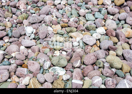 Mix di calda ciottoli colorati sulla spiaggia di Marloes sands in Pembrokeshire. Foto Stock