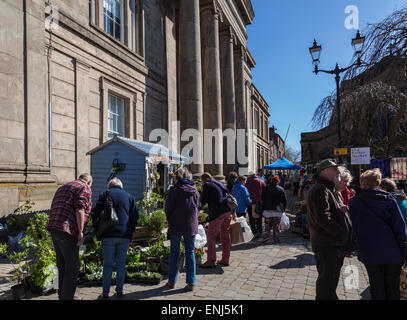 Melasso mensile Mercato in Macclesfield Foto Stock