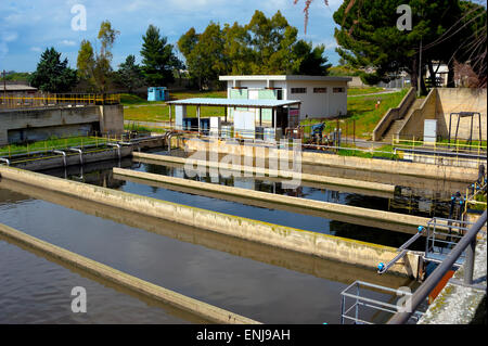 Aerato a fanghi attivati in corrispondenza del serbatoio di un impianto di trattamento delle acque reflue. Foto Stock