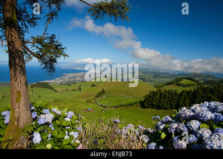 Le colline vulcaniche sull isola Sao Miguel, Azzorre, Portogallo Foto Stock