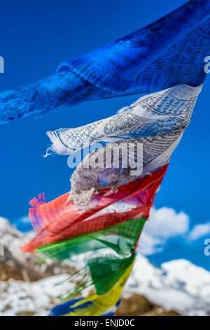 Bandiere di preghiera in Himalaya Foto Stock