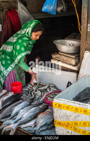 Donna di vendita del pesce in bhaktapur, Nepal Foto Stock