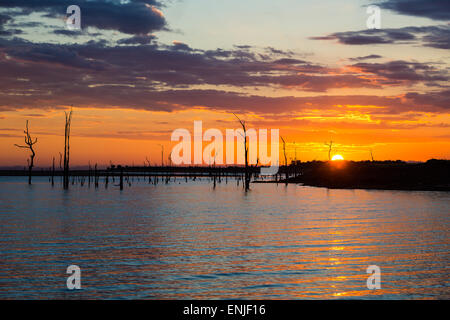 Vista generale del tramonto sul lago Kariba, Zimbabwe Foto Stock