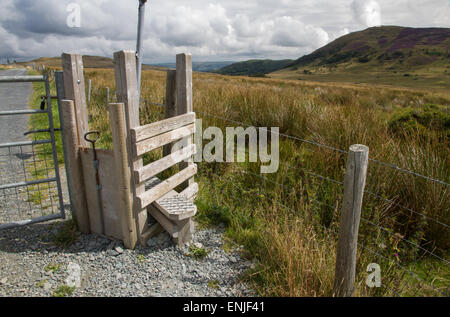 Passo stile stile, con gate per cane, da gate, Parco Nazionale di Snowdonia, Gwynedd, Wales, Regno Unito. Foto Stock