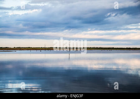Vista generale del lago Kariba, Zimbabwe Foto Stock
