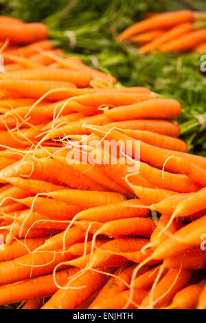 Carote organico per la vendita, il Mercato degli Agricoltori, Santa Barbara, California, Stati Uniti d'America Foto Stock