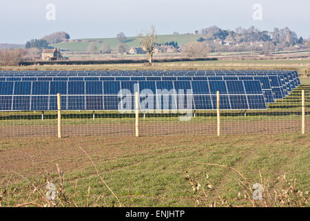 Solar, pannelli,farm, field,Somerset, Inghilterra Foto Stock