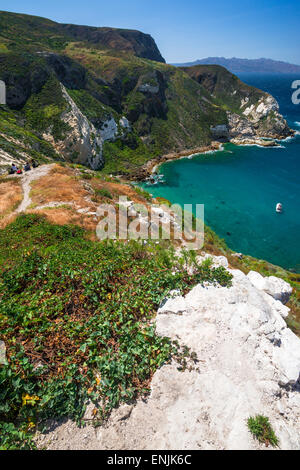 Porto di patate, Isola di Santa Cruz, il Parco Nazionale delle Channel Islands, California USA Foto Stock