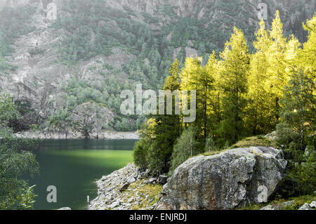 Ray di luci sopra gli alberi, Antrona lago - Piemonte, Italia Foto Stock