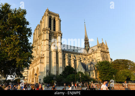 Notre Dame de Paris Cathedral, facciata sud, Ile de la Cité, Parigi, Francia Foto Stock