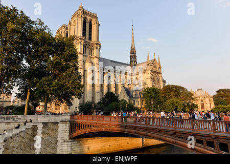 Notre Dame de Paris Cathedral, facciata sud, Ile de la Cité, Parigi, Francia Foto Stock